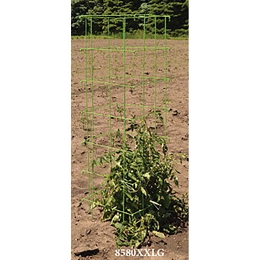 Midwest Wire Works 58" Heavy Duty Square Cage Lime