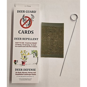 Olson 12ct 4in x 6in Stiky Deer Cards with Wire Holders