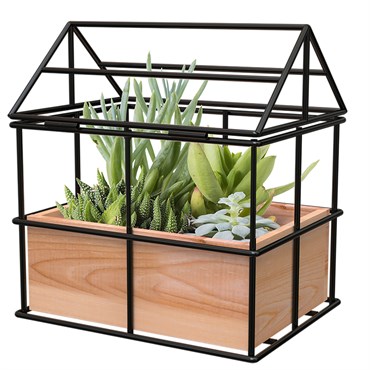 Panacea Wood/Wire No Glass Terrarium Planter