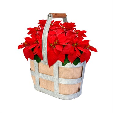 Panacea 2 Wine Bottle Burlap Caddy
