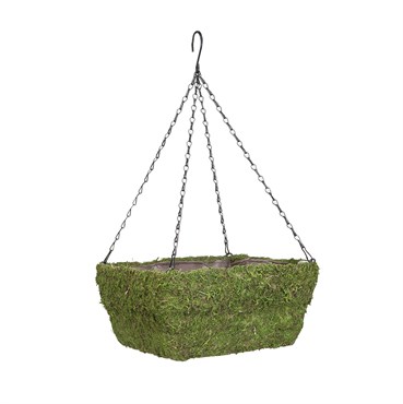 Panacea 13" Moss Square Hanging Basket