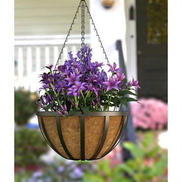 Panacea 14" English Hanging Basket W/ Coco Liner