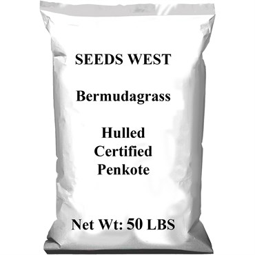 Penn 50# Bermuda Hulled Penkoted