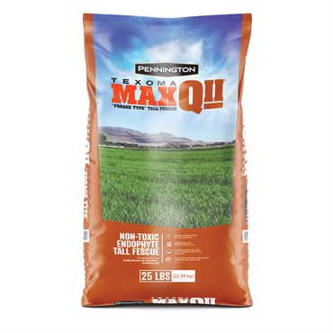 Penn 25# MaxQ II Texoma Tall Fescue