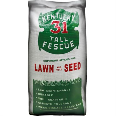 Penn 50# Kentucky 31 Tall Fescue 95/85