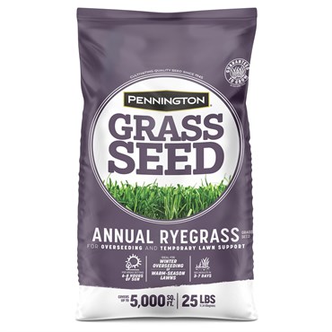Penn 25# Annual Ryegrass Retail