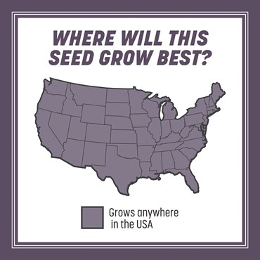 Penn 25# Annual Ryegrass Retail - Image 8