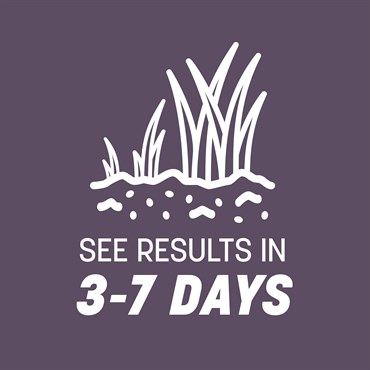 Penn 25# Annual Ryegrass Retail - Image 10