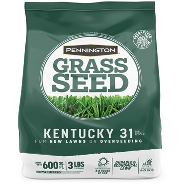 Penn 3# Kentucky 31 Fescue Pk Pencoted