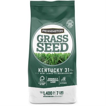 Penn 7# Kentucky 31 Fescue Pk Pencoted