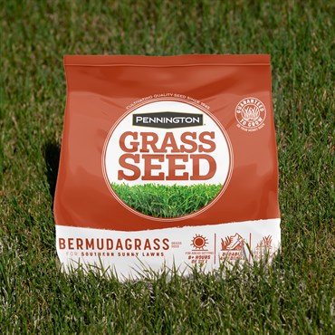 Penn 5# Bermudagrass Grass Seed - Image 3