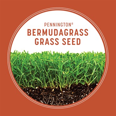 Penn 5# Bermudagrass Grass Seed - Image 6
