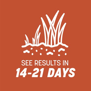 Penn 5# Bermudagrass Grass Seed - Image 9