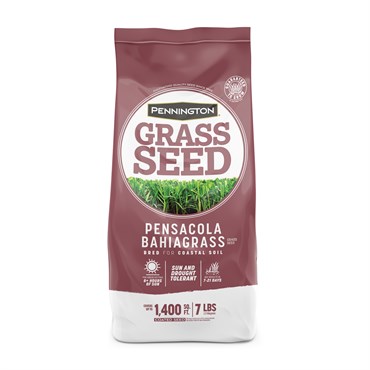 Penn 7# Pensacola Bahiagrass Pencoted