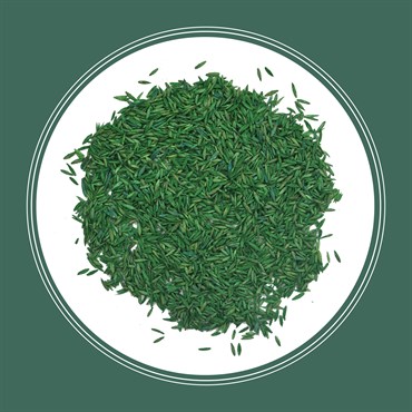 Penn 20# Kentucky 31 Fescue Pk Pencoted - Image 3