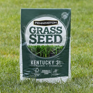 Penn 20# Kentucky 31 Fescue Pk Pencoted - Image 7