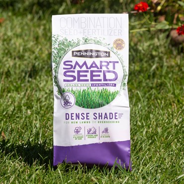 Penn 7# Smart Seed Dense Shade Mix Pcf - Image 5