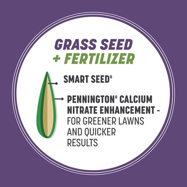 Penn 7# Smart Seed Dense Shade Mix Pcf - Image 8