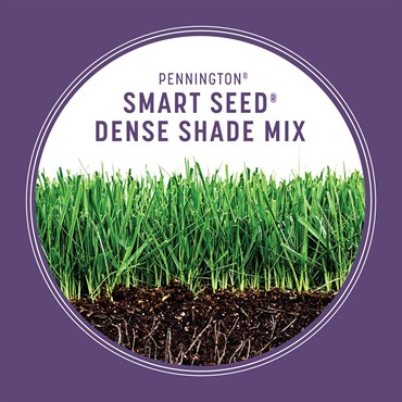 Penn 7# Smart Seed Dense Shade Mix Pcf - Image 9