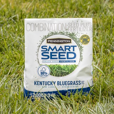 Penn 3# Smart Seed Kentucky Blue Blend Pcf - Image 5