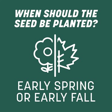 Penn 7# Smart Seed Sun & Shade Mix N Pcf - Image 3