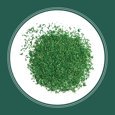 Penn 7# Smart Seed Sun & Shade Mix N Pcf - Image 4