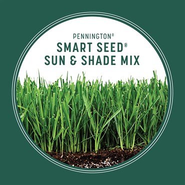Penn 7# Smart Seed Sun & Shade Mix N Pcf - Image 9