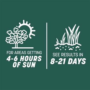Penn 7# Smart Seed Sun & Shade Mix N Pcf - Image 11