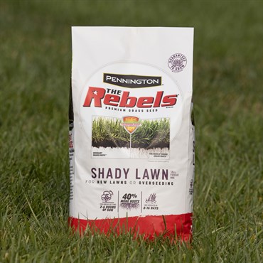 Penn 20# The Rebels Shady Lawn Mix Pc - Image 3
