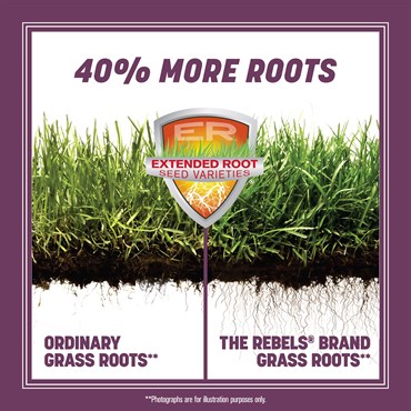 Penn 20# The Rebels Shady Lawn Mix Pc - Image 6