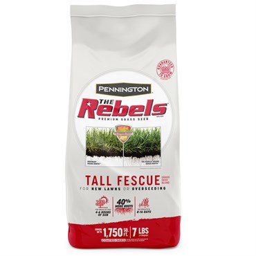 Penn 7# The Rebels Tall Fescue Blend Pc