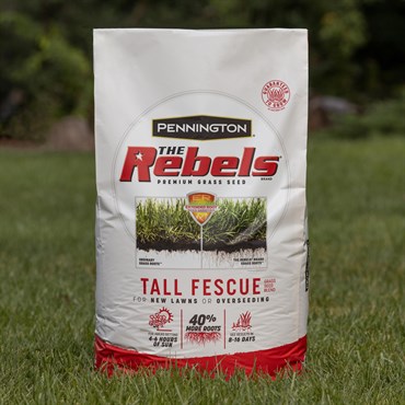 Penn 40# The Rebels Tall Fescue Blend Pc - Image 3