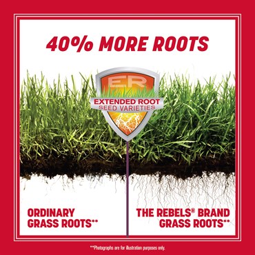Penn 40# The Rebels Tall Fescue Blend Pc - Image 5