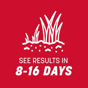 Penn 40# The Rebels Tall Fescue Blend Pc - Image 8