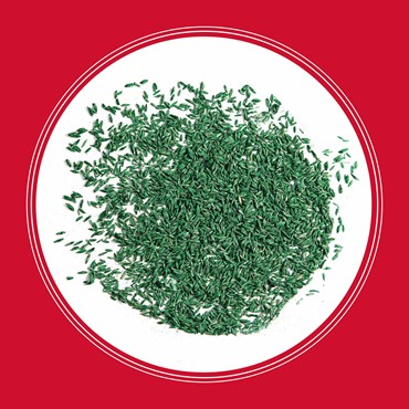 Penn 40# The Rebels Tall Fescue Blend Pc - Image 12
