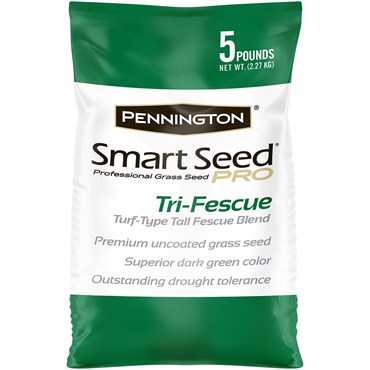 Pennington 5# Smart Seed Pro Trifescue