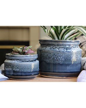 Jewel 6.5" Self Watering Pot Bts