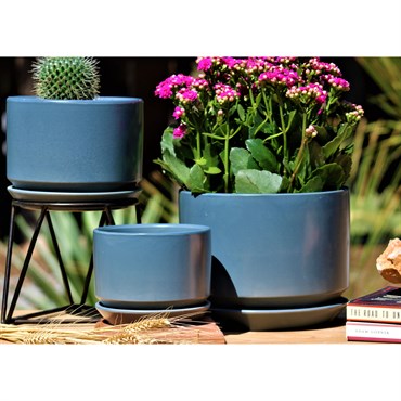 Product | BFG Supply