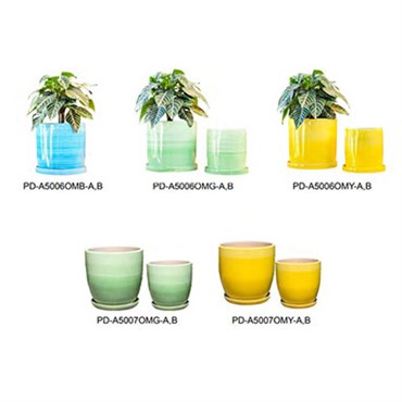 PHG 41pc Lily & Daffodil Assortment
