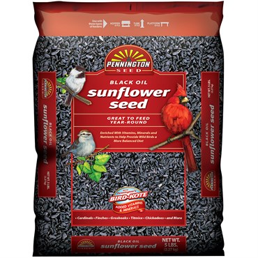 Penn Select 5# Black Oil Sunflower Seed