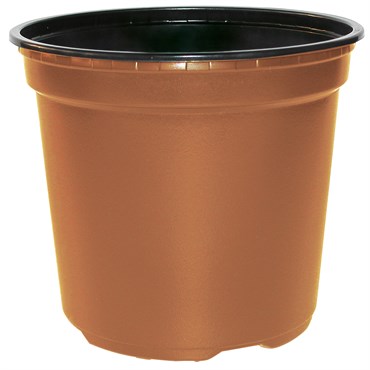 POPP VCC 16.5K TRADE GALLON 2.50 QT WITH TAGLOCK TERRA COTTA — Single Unit