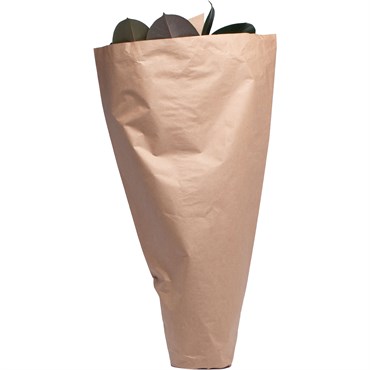 PT Paper Sleeve 10x28x30 250/CS