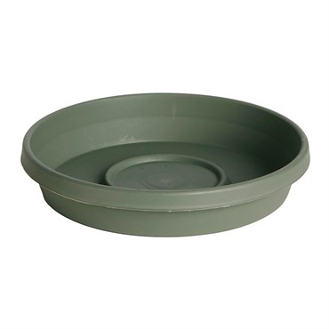 Bloem 10" Terra Saucer Living Green