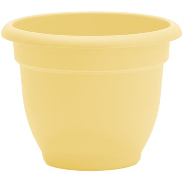 Bloem 8" Ariana Planter Daffodil