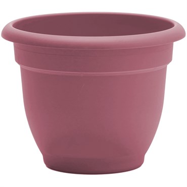 Bloem 8" Ariana Planter Dusty Rose