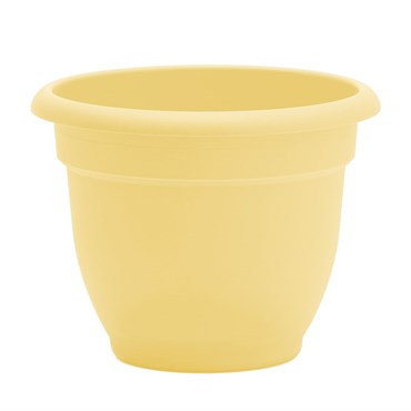 Bloem 10" Ariana Planter Daffodil