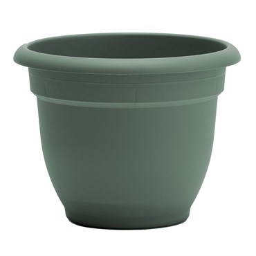 Bloem 16" Ariana Planter Basil