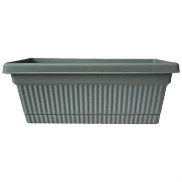 Bloem 18" Amelia Window Box Basil