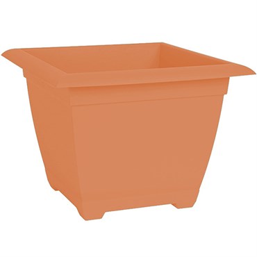 Bloem 15" Dayton Square Box Coral