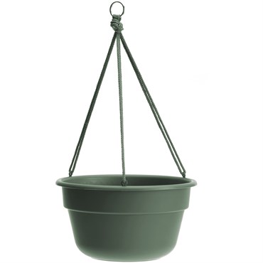 Bloem 12" Durcotta Basil Hanging Basket